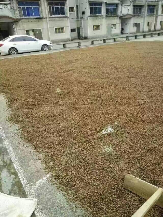 ��÷���ӡ���