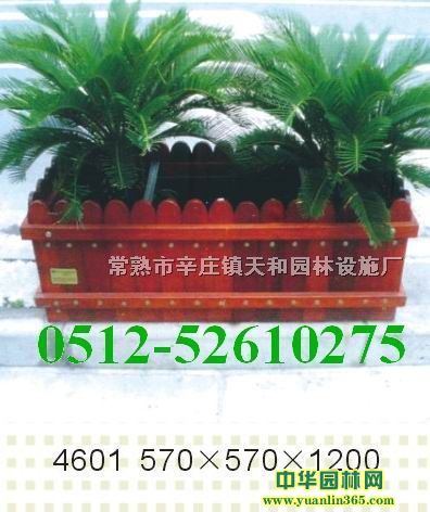 ����ľ����