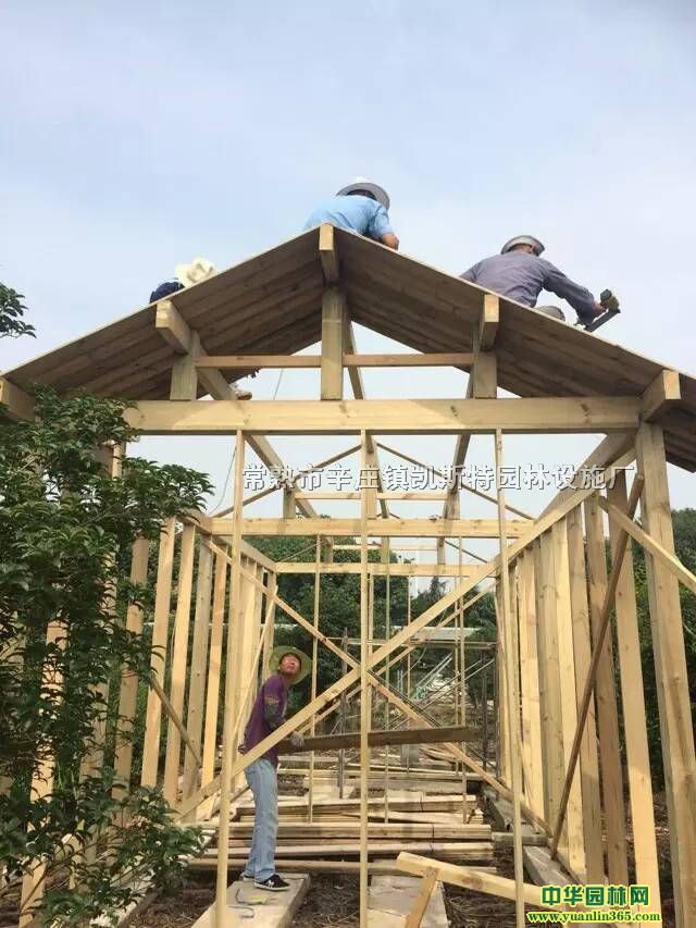 �ƶ�Сľ��ľ���ӳ���������ͨ�����������Ű�װ