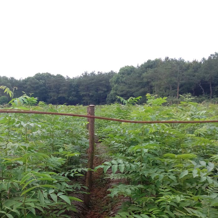 һ������Ǯ��С�硢������Ǯ����