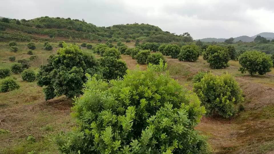 2�׹ڷ���÷���硢2.5��-3�׹ڷ���÷��