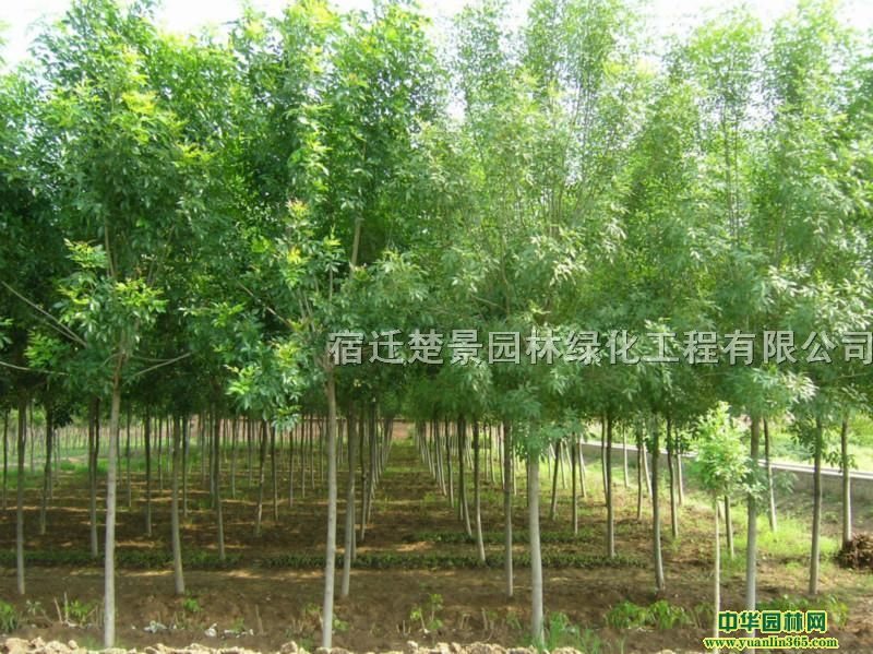 12���ְ�����