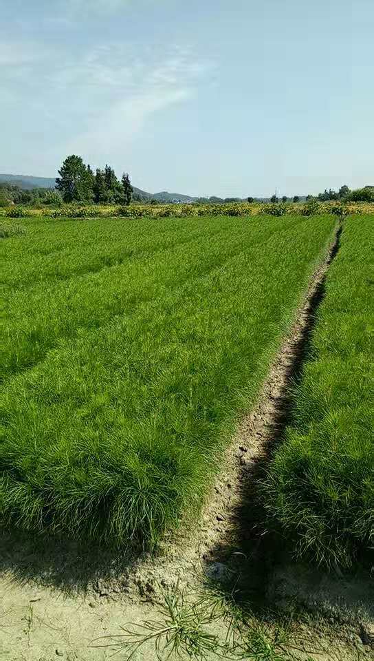 ����ʪ���ɱ��������ʪ����Ӫ�������ʪ���ɴ���