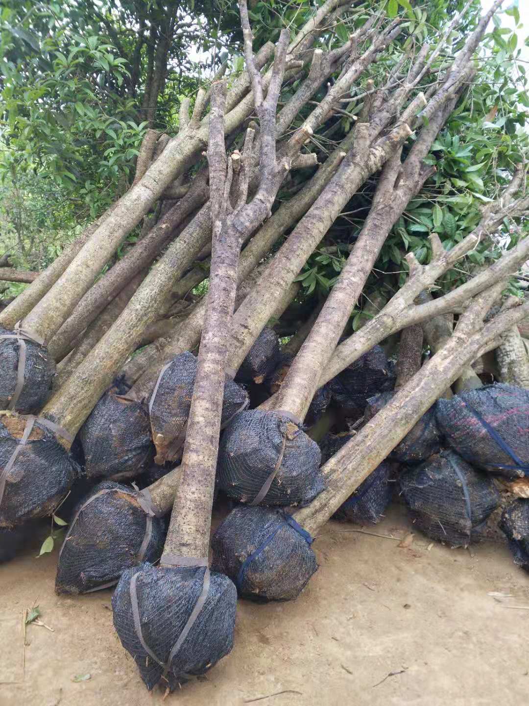 ���3-20����