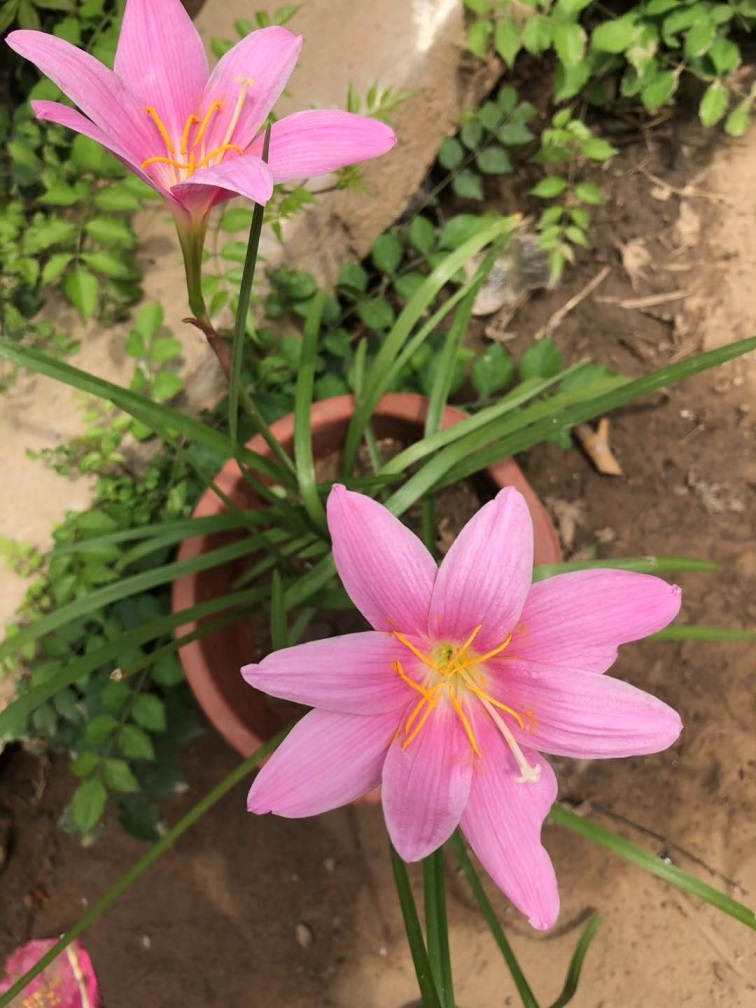 �컨���������������׻�������������ʼ�