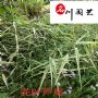��Ҷ«έũ��ֱ����ʪ�ع�԰԰���̻���ľ������������