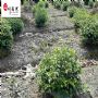 ۯ�ػ��������̻����ܹ�ľ������Ұĵ����ĵ�����ӻ�