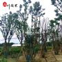 ���ڹ�Ӧ������-������������������-���κùڷ�����