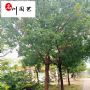 ��Ƿ��ػݼ۳��ۡ�8-20������Ƿ��̻���ľ����