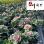�ɶ����ԡ���Ӧ��Ʒõ��������ԡ�������̳�������