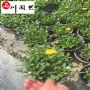 �ƽ�չ��������������ũ��ֱ�������Żݡ����