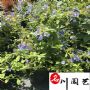 ��ѩ�����Ի���ֱ��������ͥԺ԰�ֹ��ͻ��������Ż�