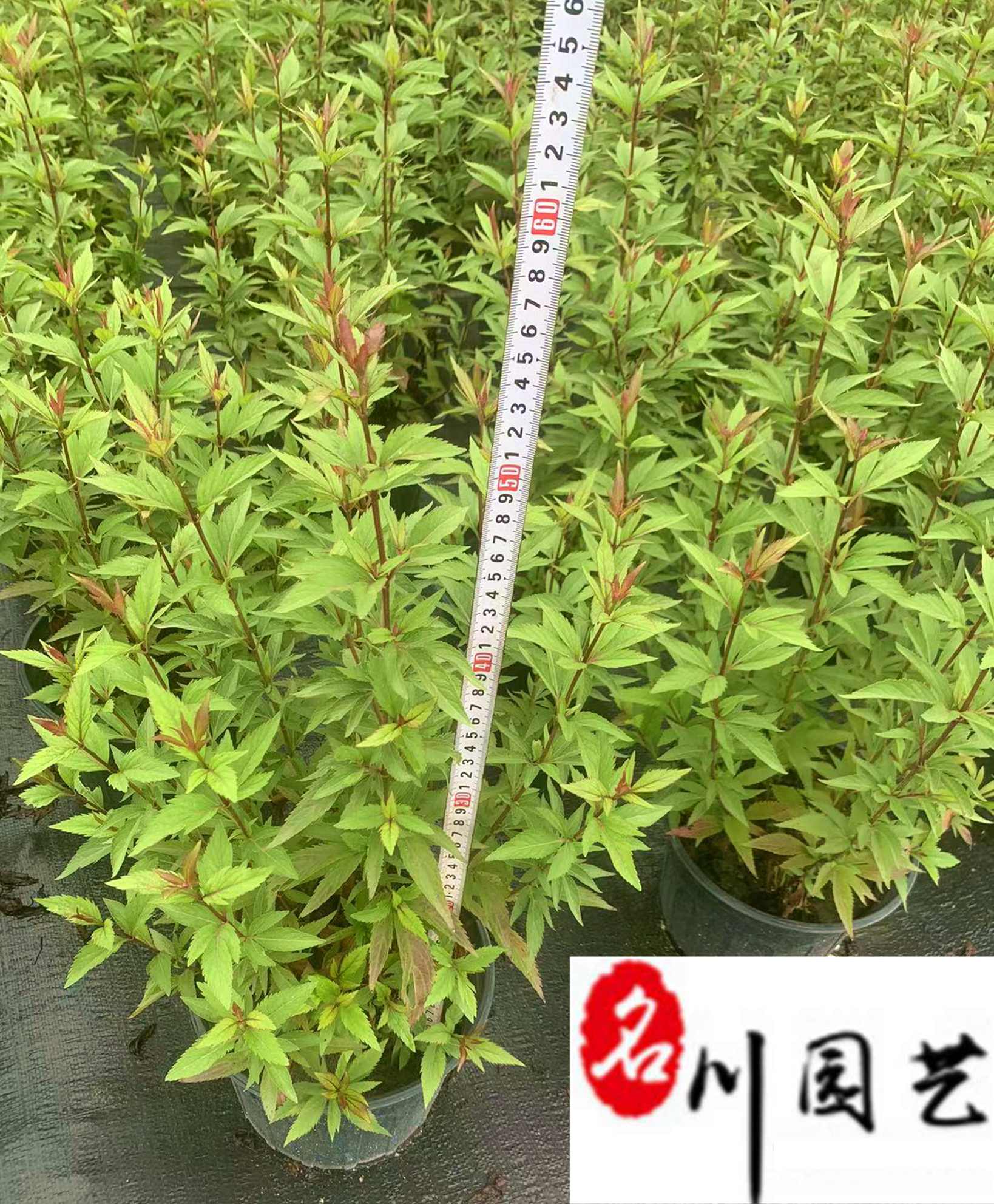 �����ݻ�����������������۸񡢳ɶ����������۸�