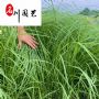 ������β�ݡ�������̳�ر��̻��������Ż�