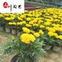 ���پձ��硢������̳������ڡ��ɶ����پ������۸�
