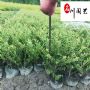 ��׶��౭�硢��׶��๤���硢�ɶ���׶���۸�