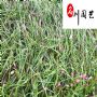 �Բ������������硢�����������۸񡢵ر��̻�����