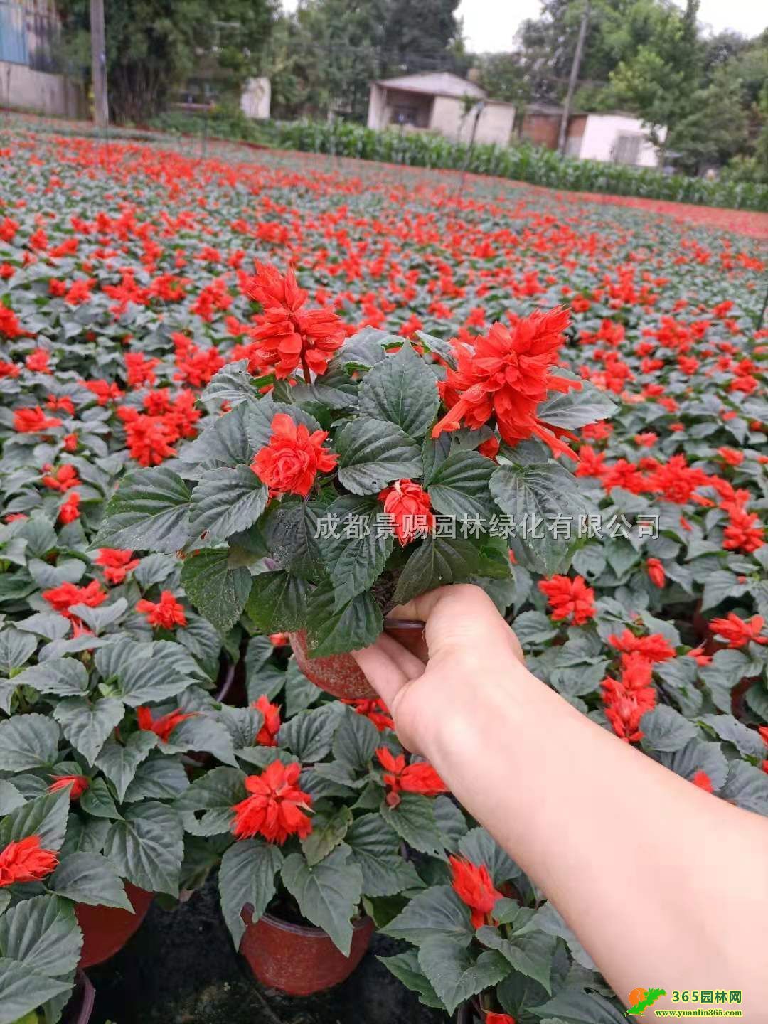 �컨һ��������������2���ر�������һ������ء�һ�������