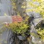 20-40������Ů�����ӻ��ء�����Ů���������ԡ�Ů��۸�