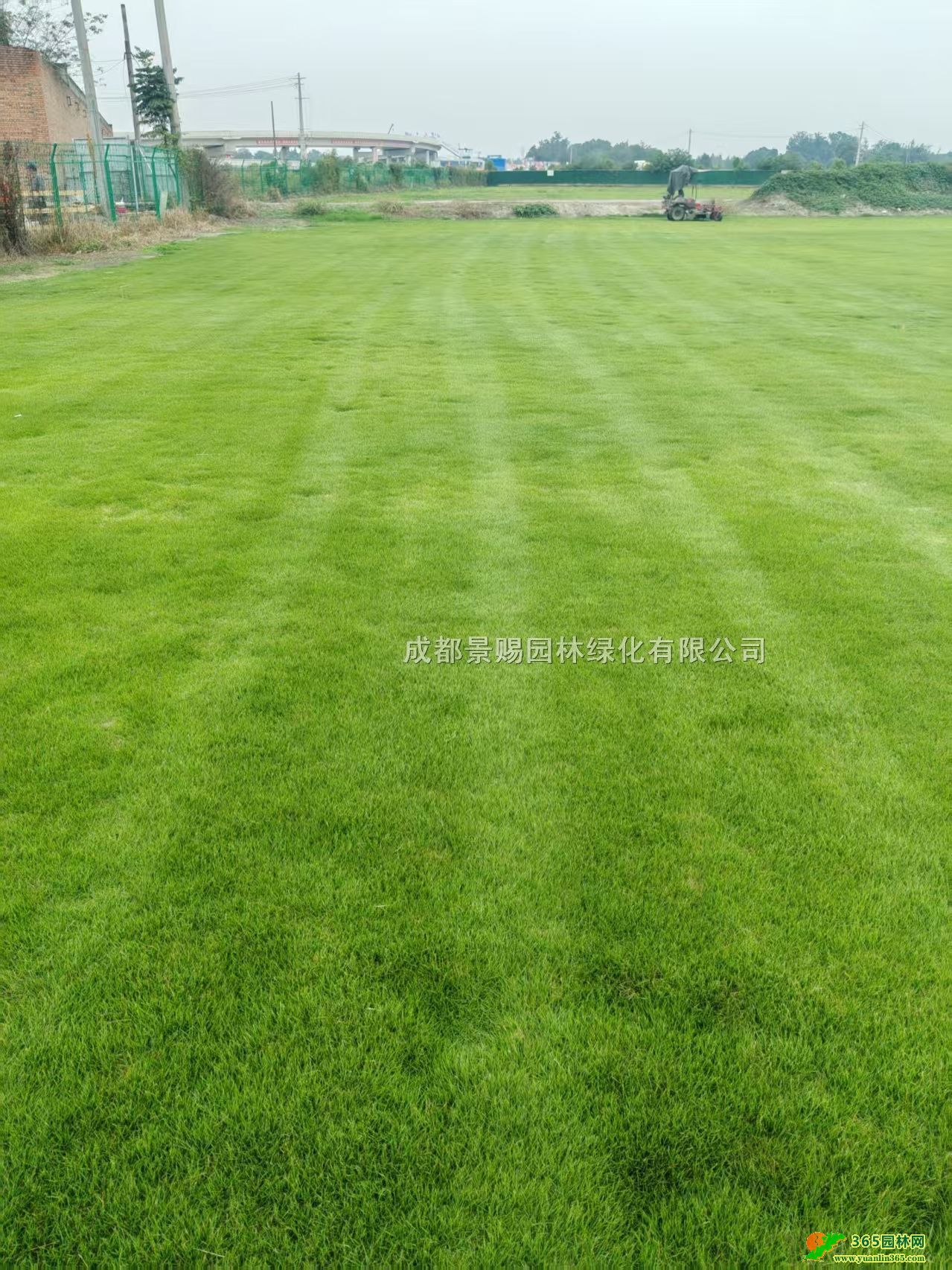 ̨����Ų�ƺ���첥��ƺ����Ľ���ƺ���Ĵ���ƺ��������