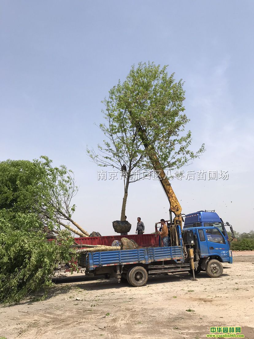 �����ݡ��ؾ�12����