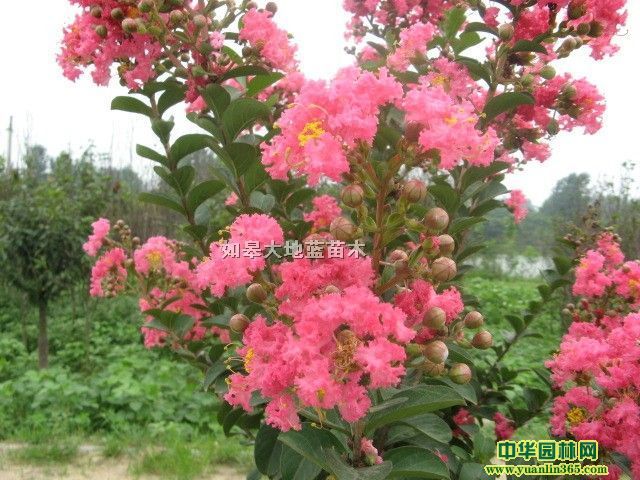 ��ޱ2-3-4-5-6����