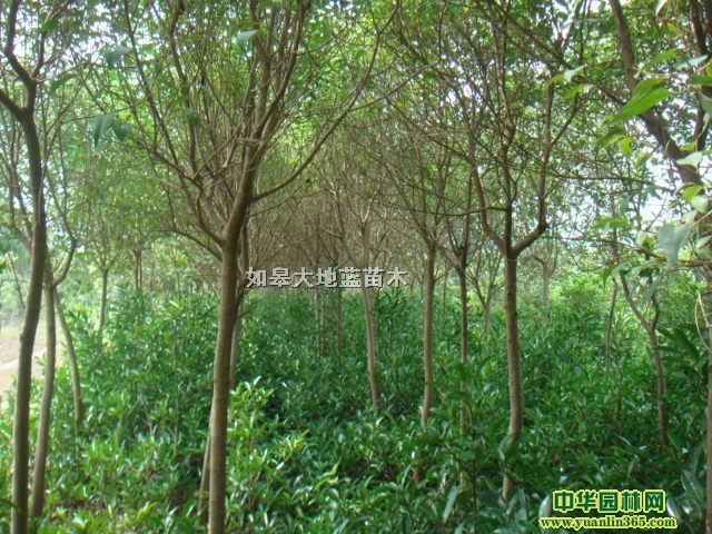 ��������1M-1.8M.����