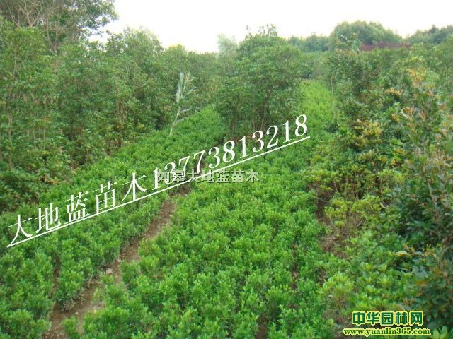 СҶ������H30-40