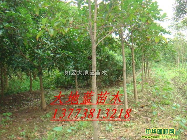 �𻨶���2-10����