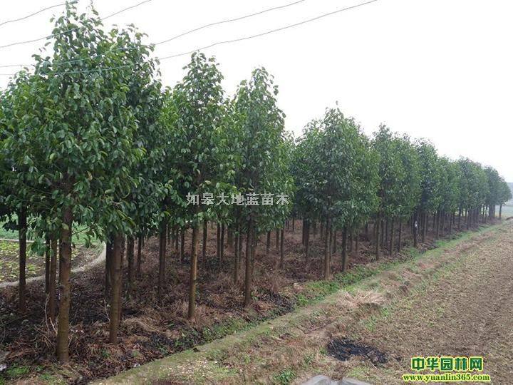 ����1000��