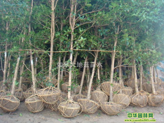 ���˹�D2-3-4-5-6-7-8����