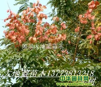 ������5-10-15����