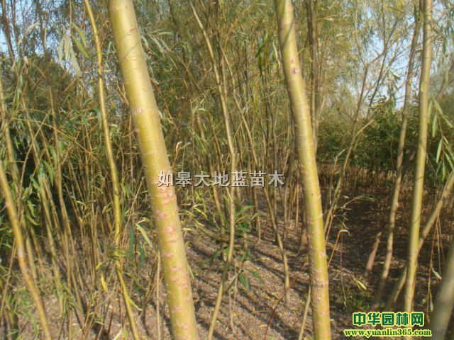 ������5-8-10-12-15-18����