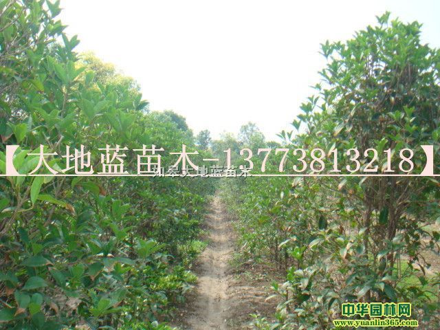 �𻨶���D5-6-7����