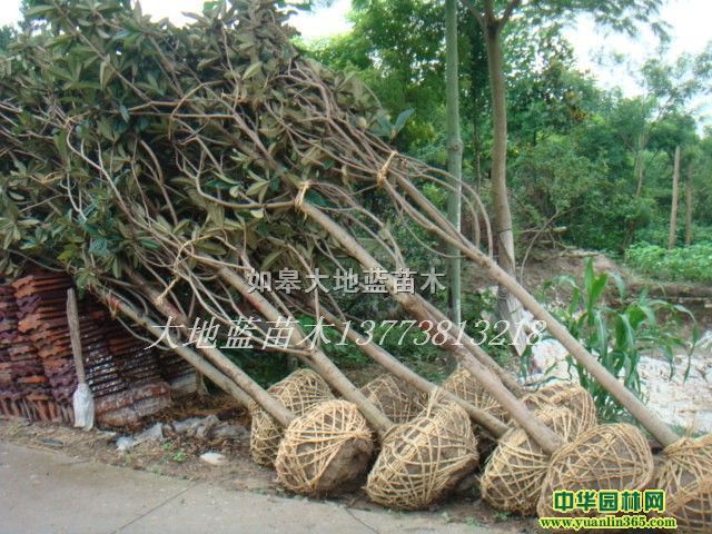 ������2-10-15���֡����ֹ��