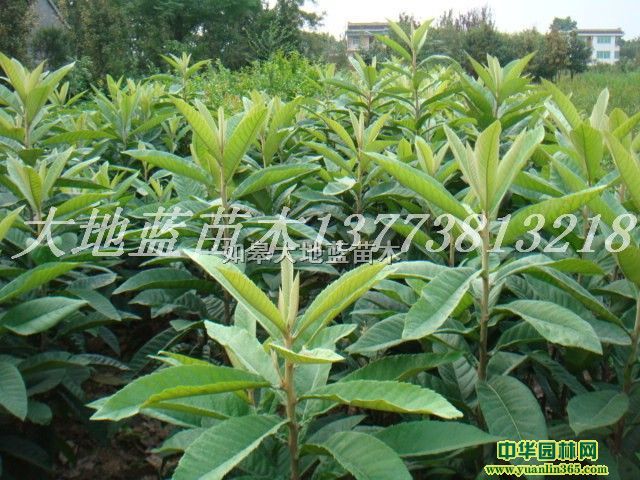 ������D3-8����