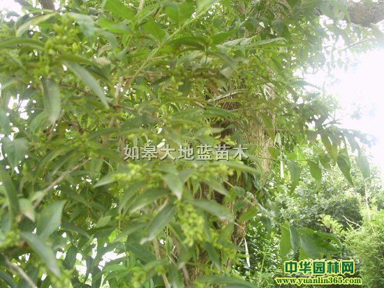 �������������������