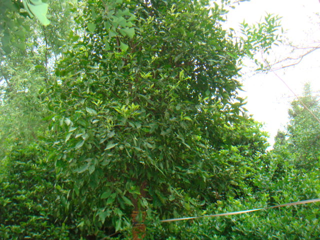 ����2����-8����