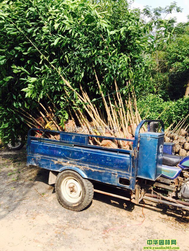 ������-1-4������-����������