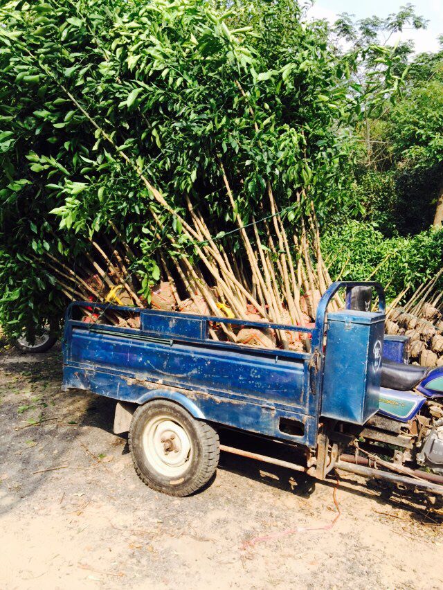 ������������H100��H120��H150