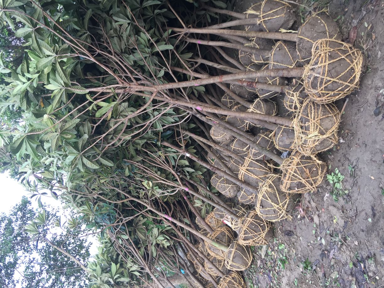 ��������5-10����