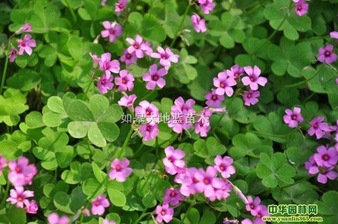 �컨�����ݡ��ϻ�������