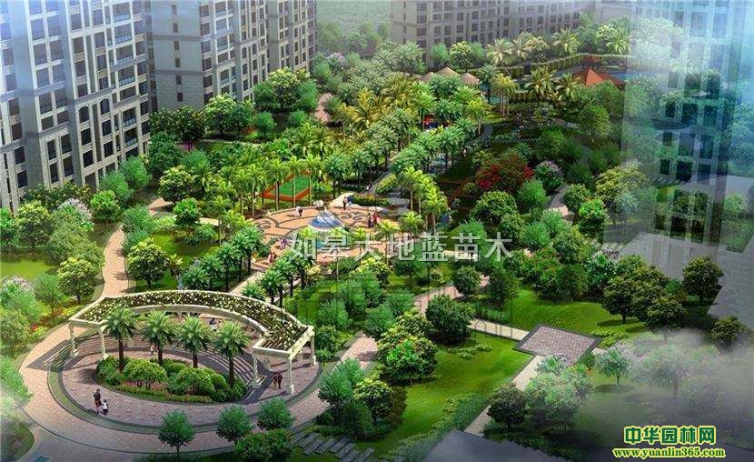 ������ͥԺ�������̻�