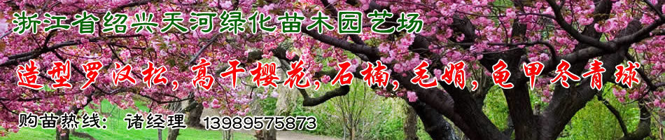��������̻���ľ԰�ճ���ҵ����ͼƬ ӣ�����޺��ɡ���÷���軨���������컨��ľ