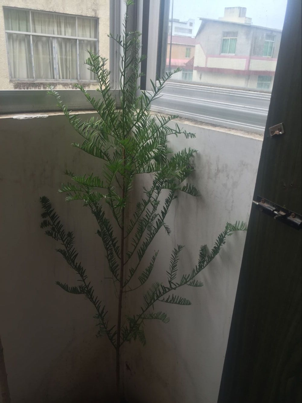 1.5�춹ɼС��