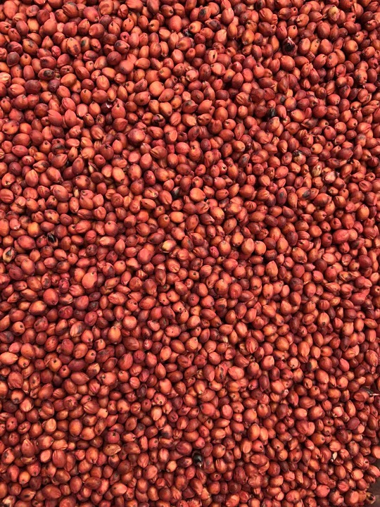 �������ͼ
